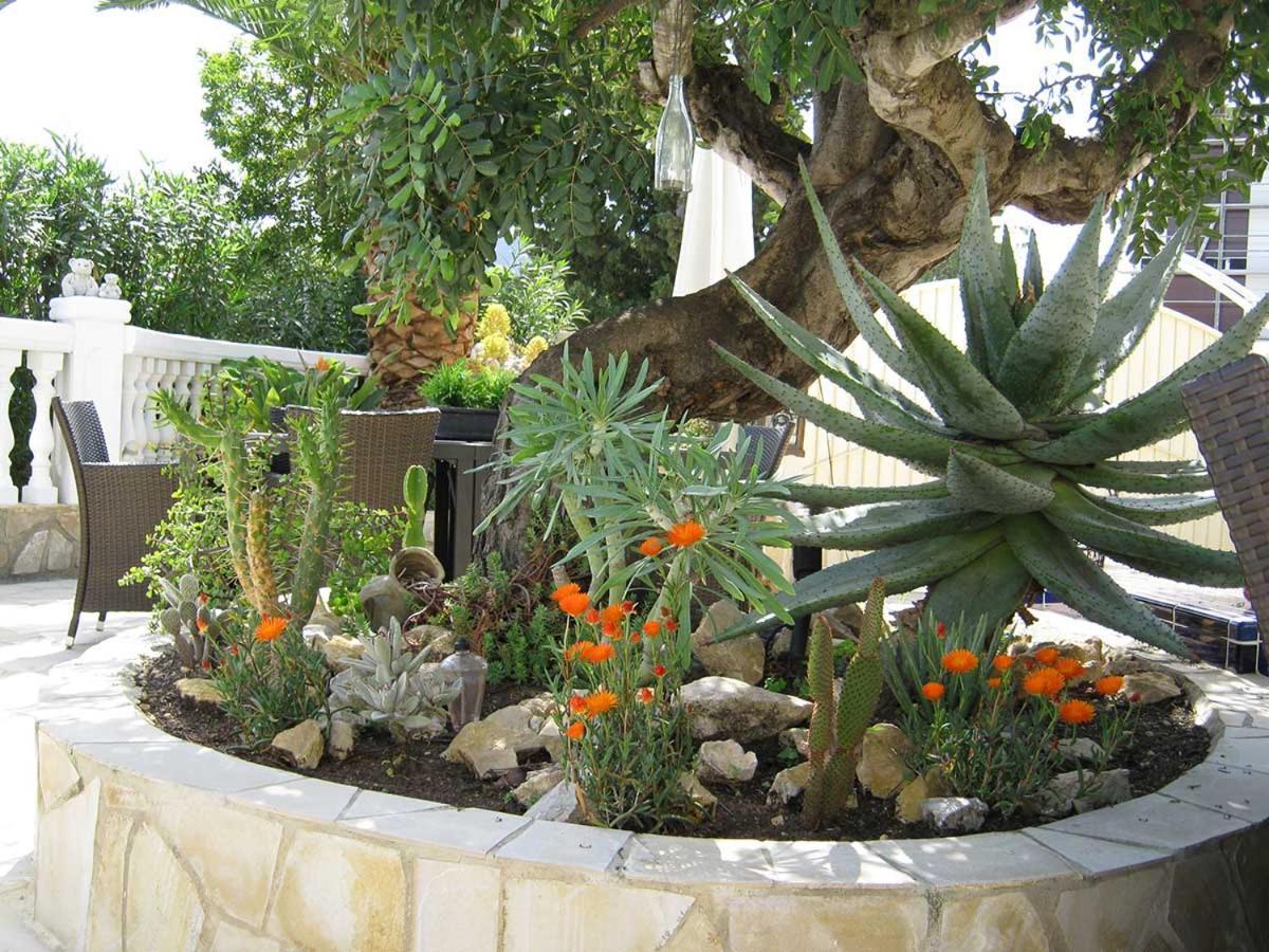 La Nucía Residence Bougainville מראה חיצוני תמונה